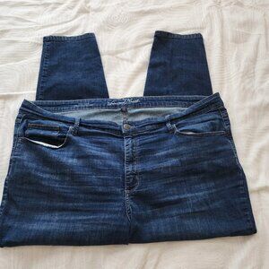 USED Universal Thread Plus Size High Rise Skinny Jeans - 24 Dark wash
